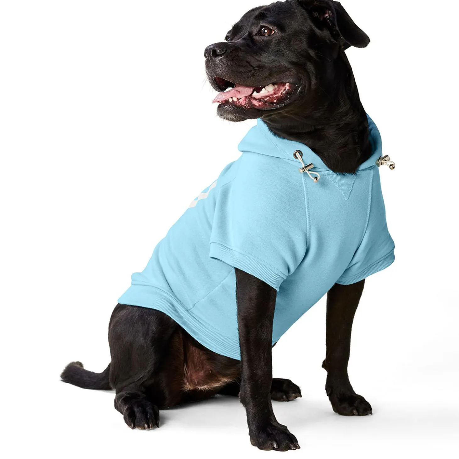 Heart Blue Hoodie