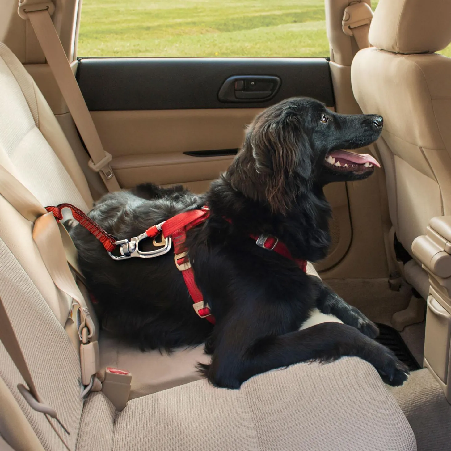 Heavy Duty Swivel Seatbelt Tether for Dogs