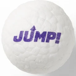 Hi Bounce Ball Dog Toy