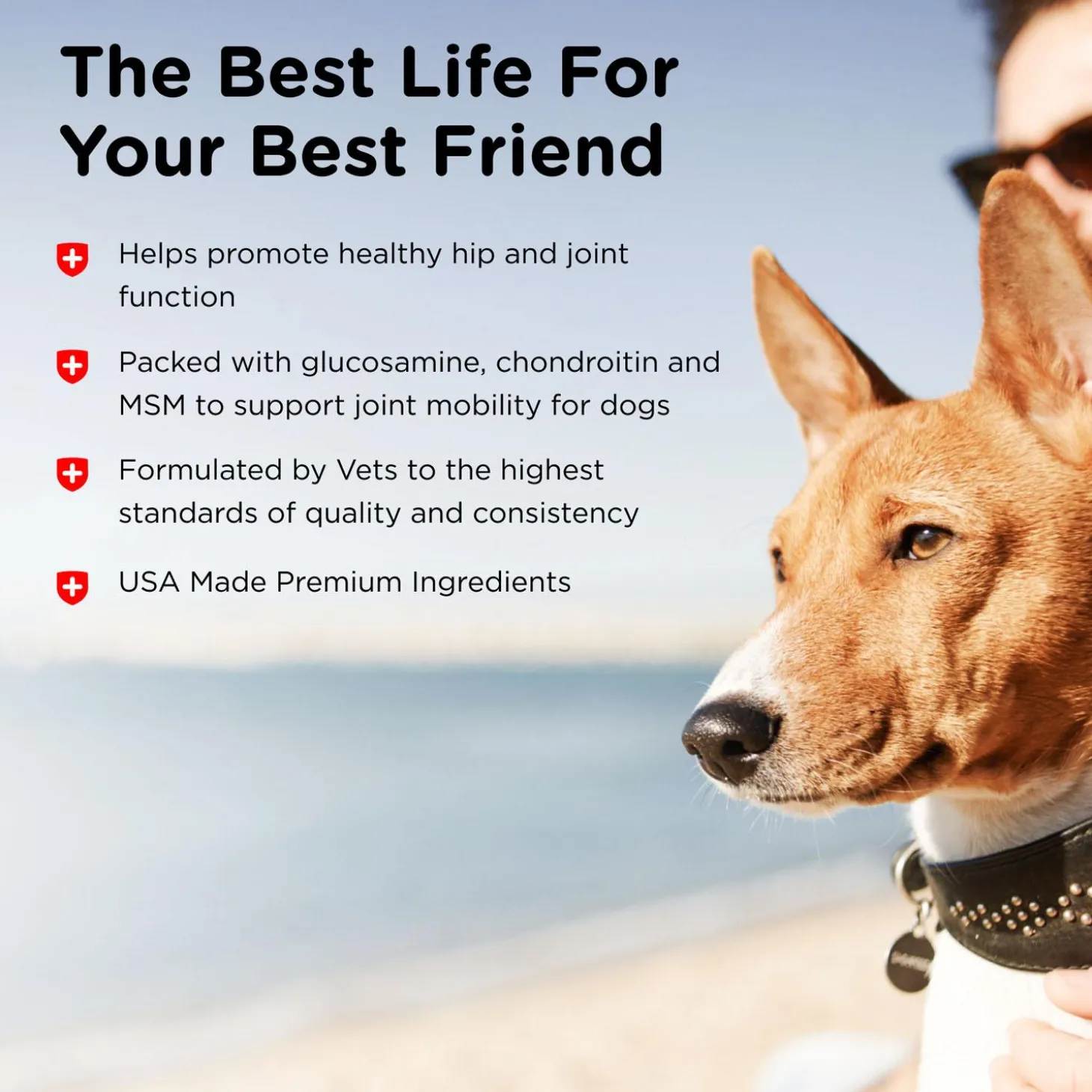 Hip & Joint Extra Strength Liver Flavoured Dog Supplements