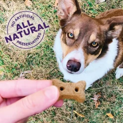 Hip & Joint Mini Dog Treats