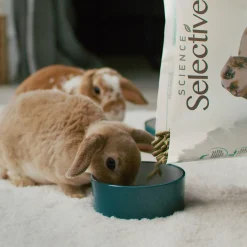House Rabbit Food