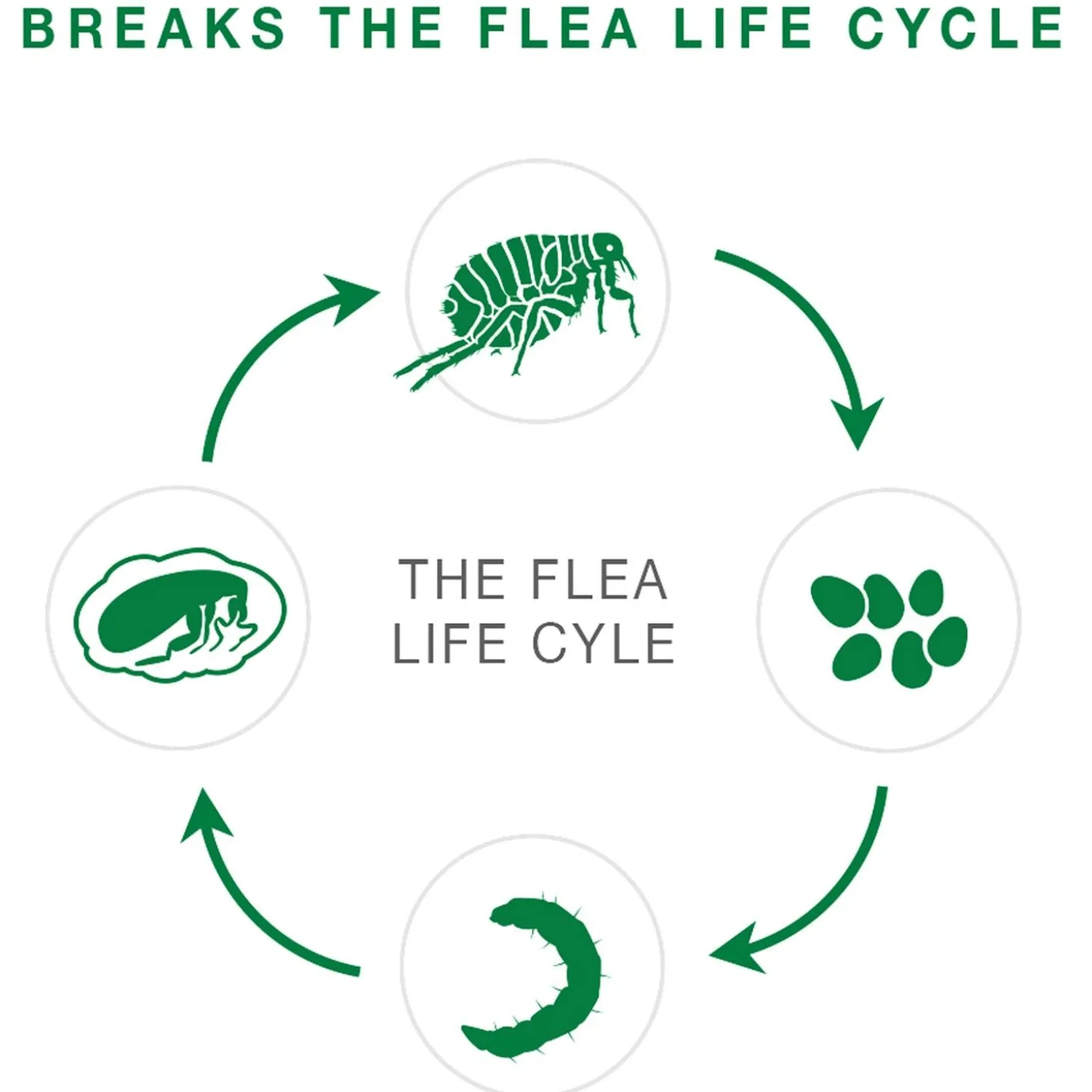 II Topical Extra Large Dog Flea Treatment