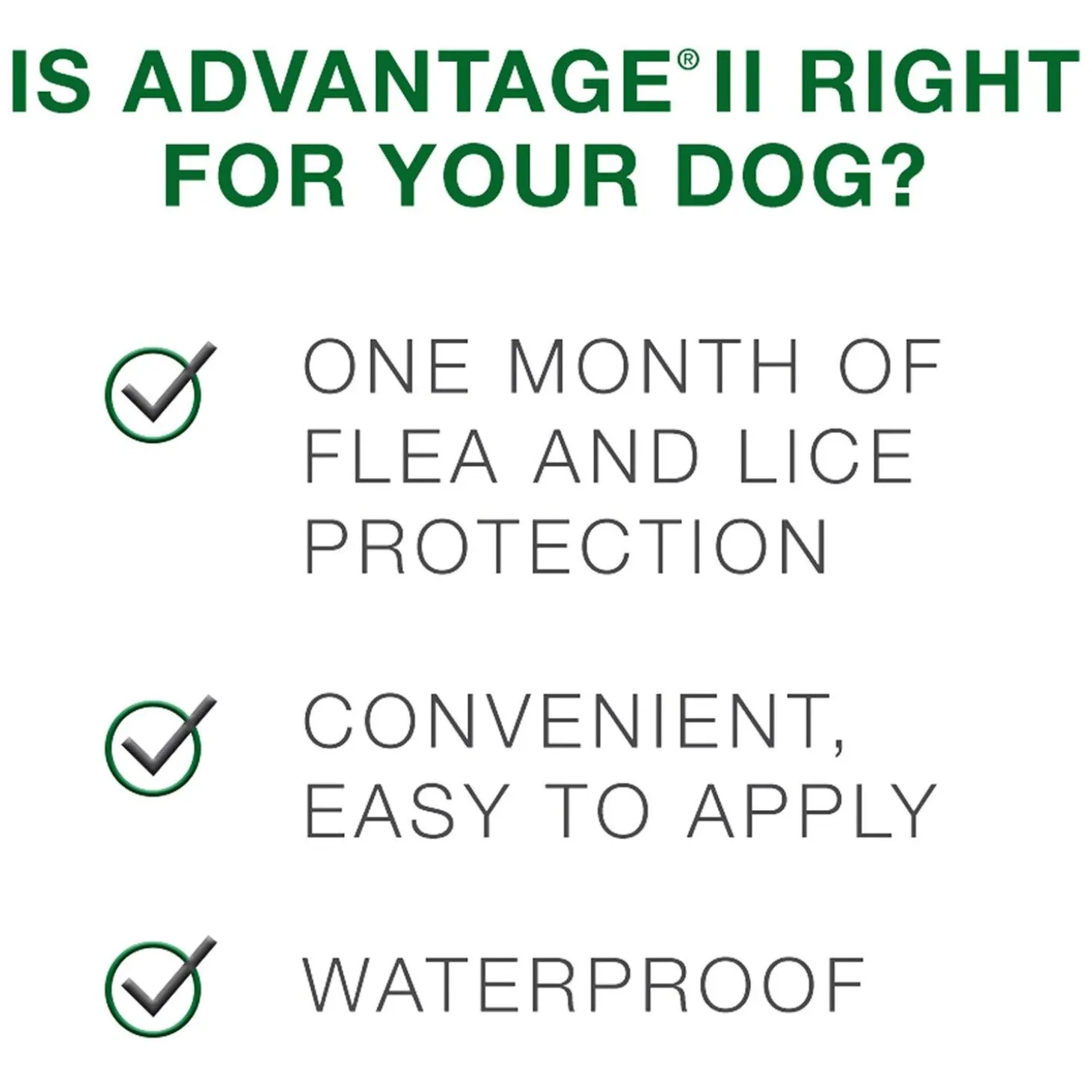 II Topical Extra Large Dog Flea Treatment