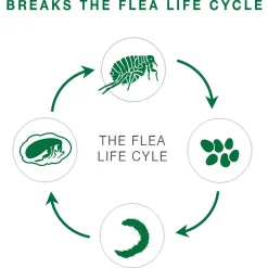 II Topical Kitten Flea Treatment