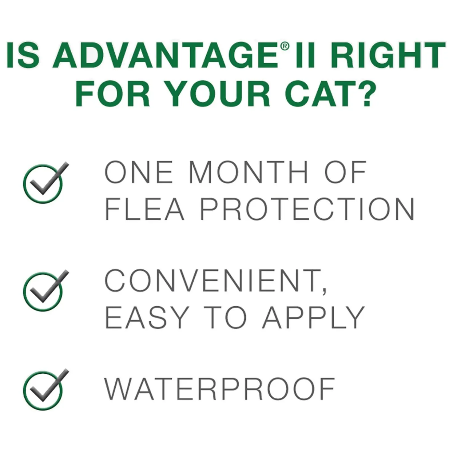 II Topical Large Cat Flea Treatment