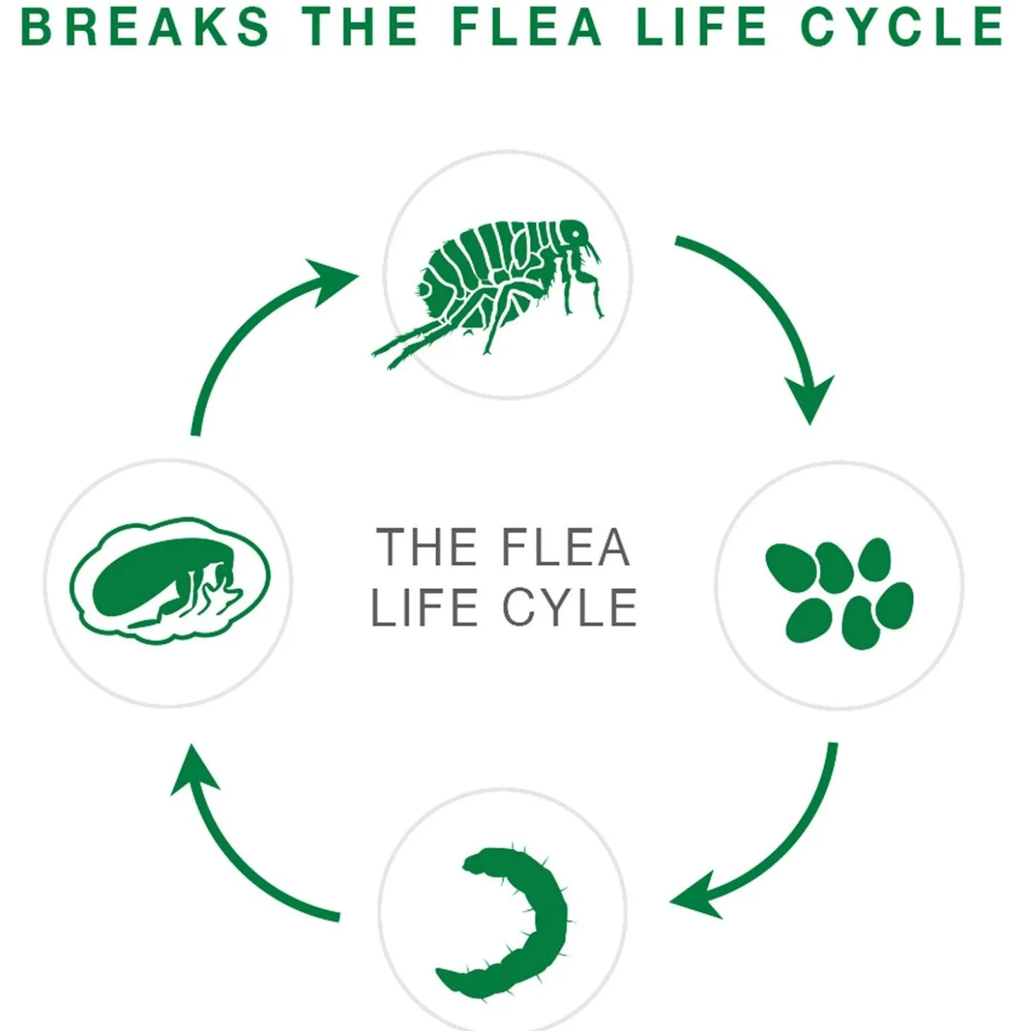II Topical Medium Dog Flea Treatment