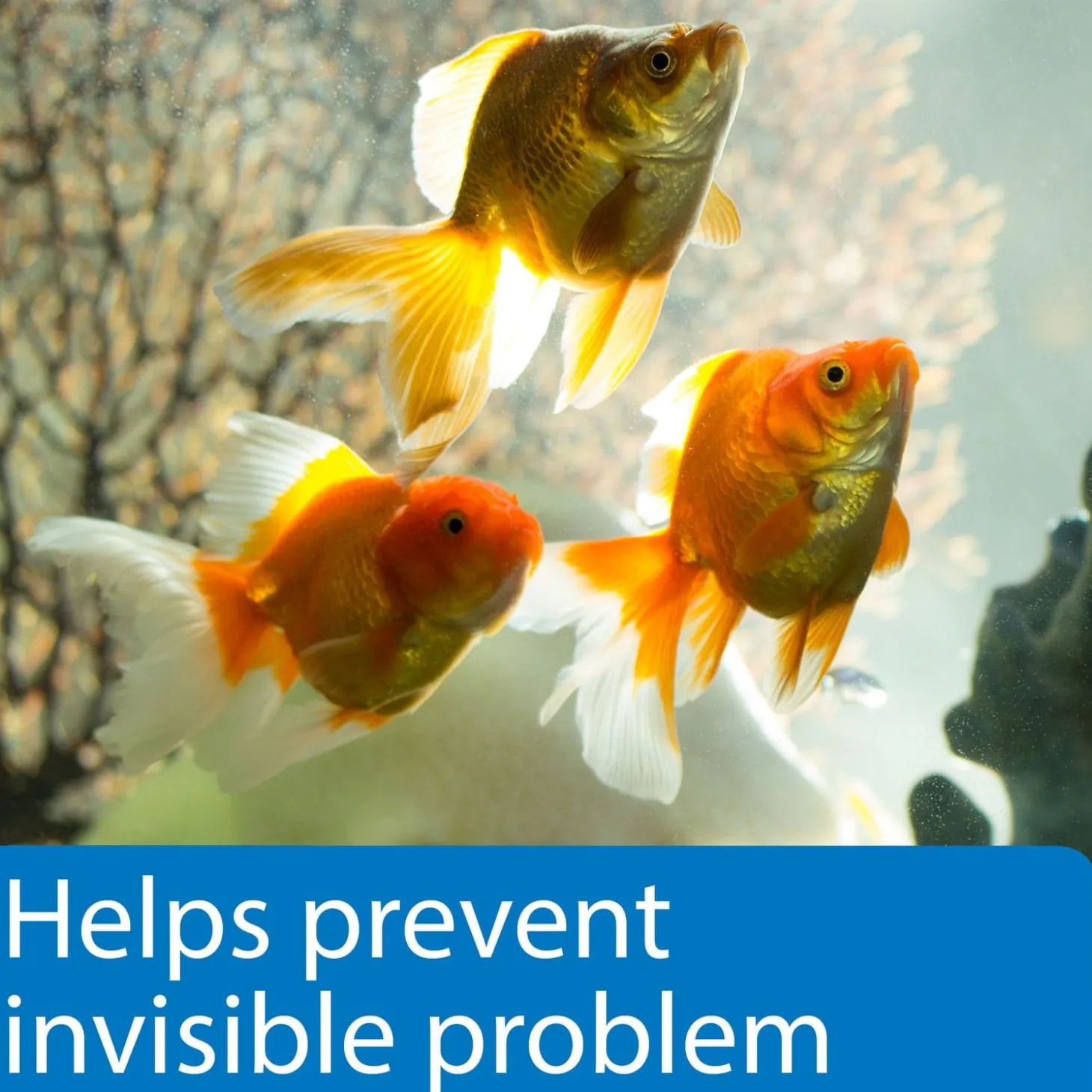 5 in 1 Aquarium Test Strips