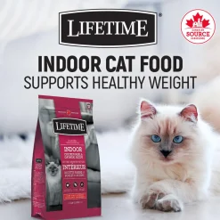 Indoor Chicken Meal & Oatmeal Recipe Cat Food