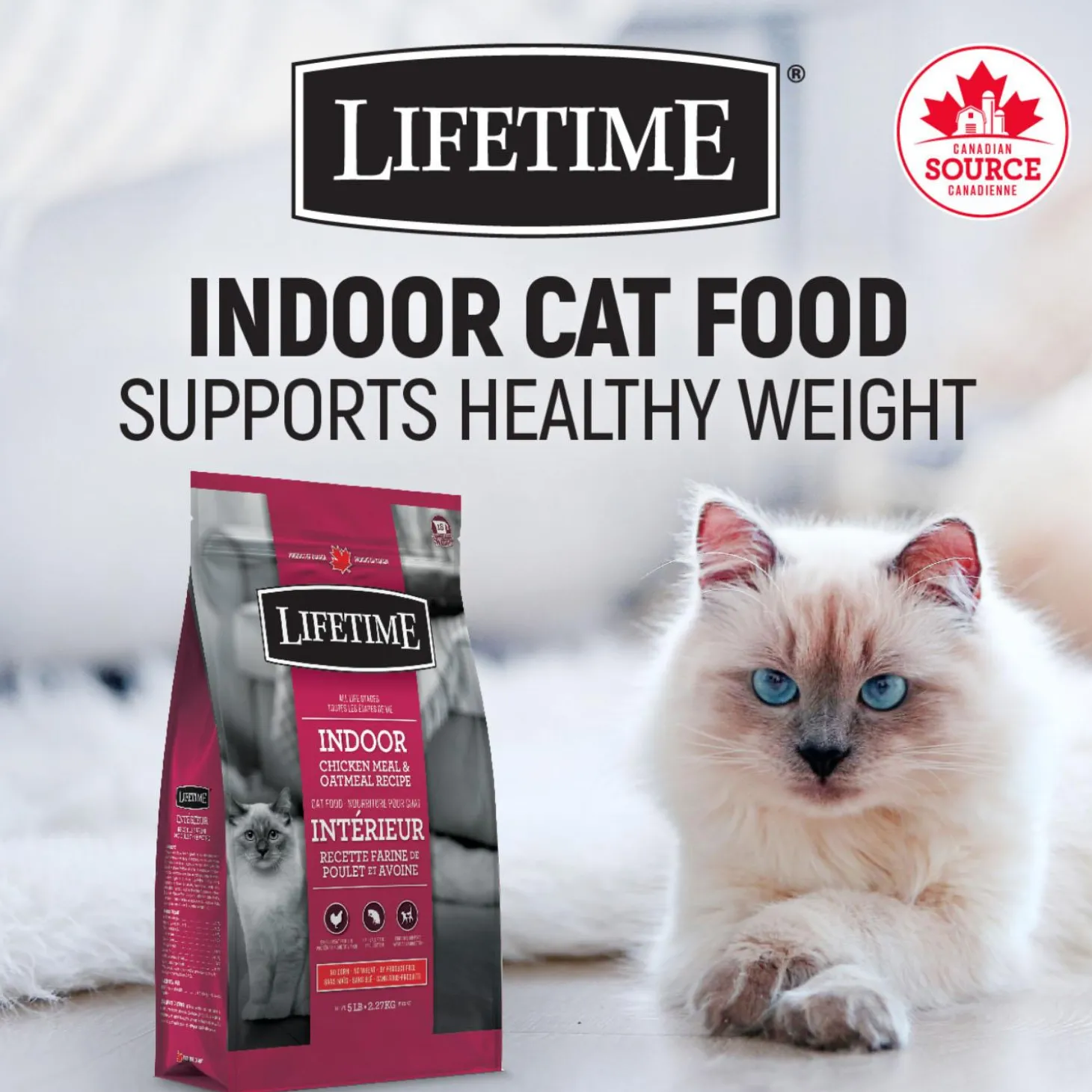 Indoor Chicken Meal & Oatmeal Recipe Cat Food