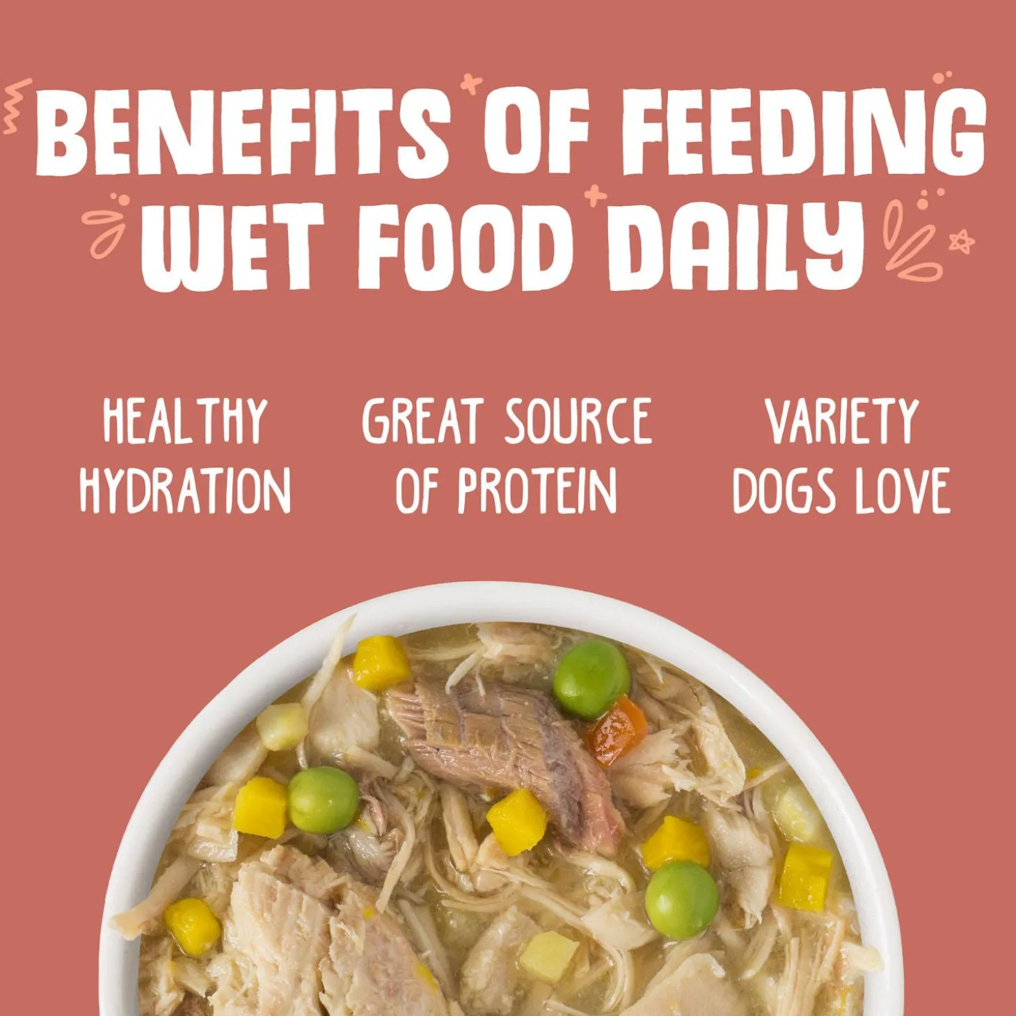 Jammin' Salmon with Chicken & Salmon in Pumpkin Soup Dog Food