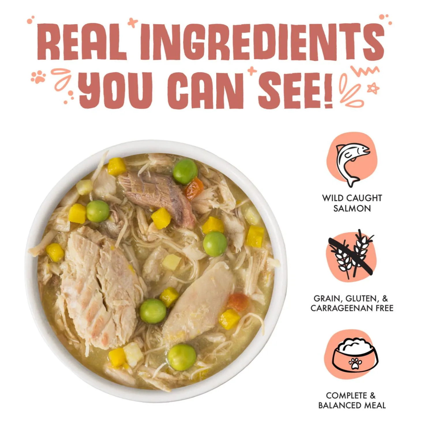 Jammin' Salmon with Chicken & Salmon in Pumpkin Soup Dog Food