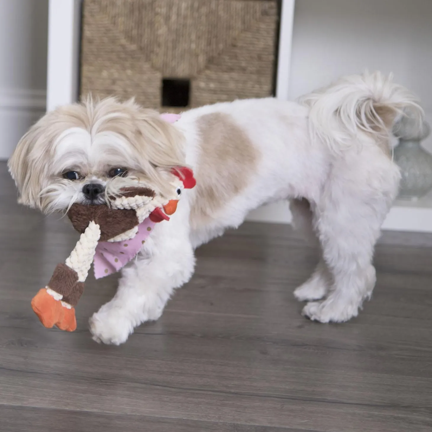 Just For Me Skinny Brown Rooster Dog Toy