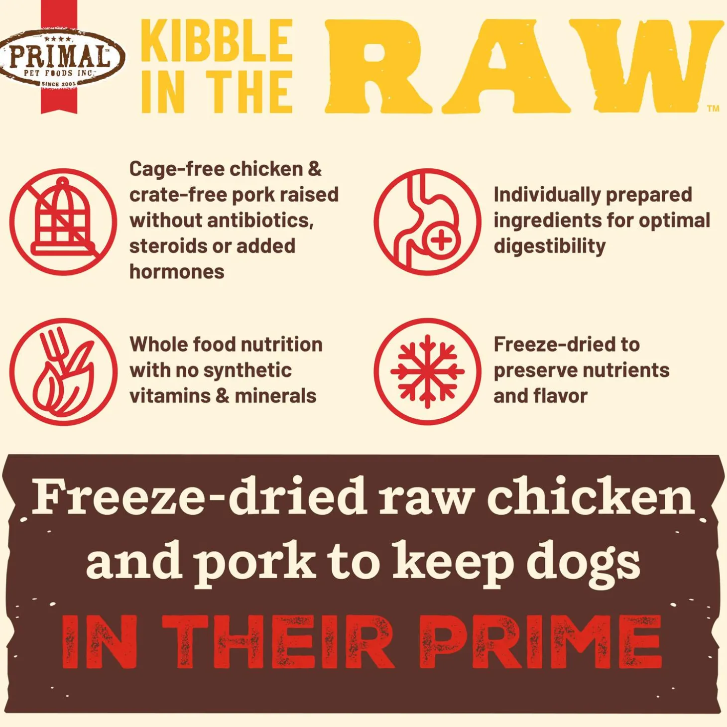 Kibble in the Raw Puppy Recipe Dog Food