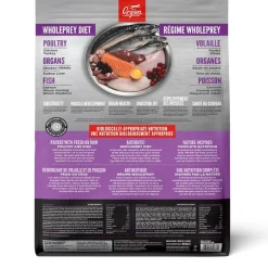 Kitten Cat Food