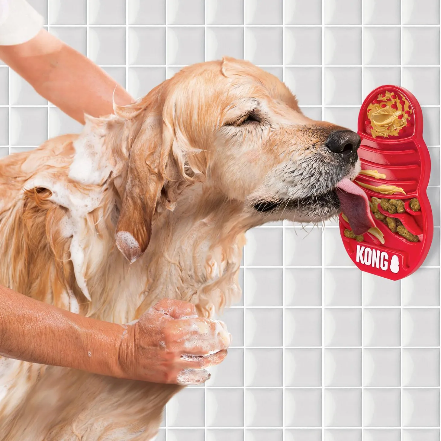 Licks Treat Dispenser