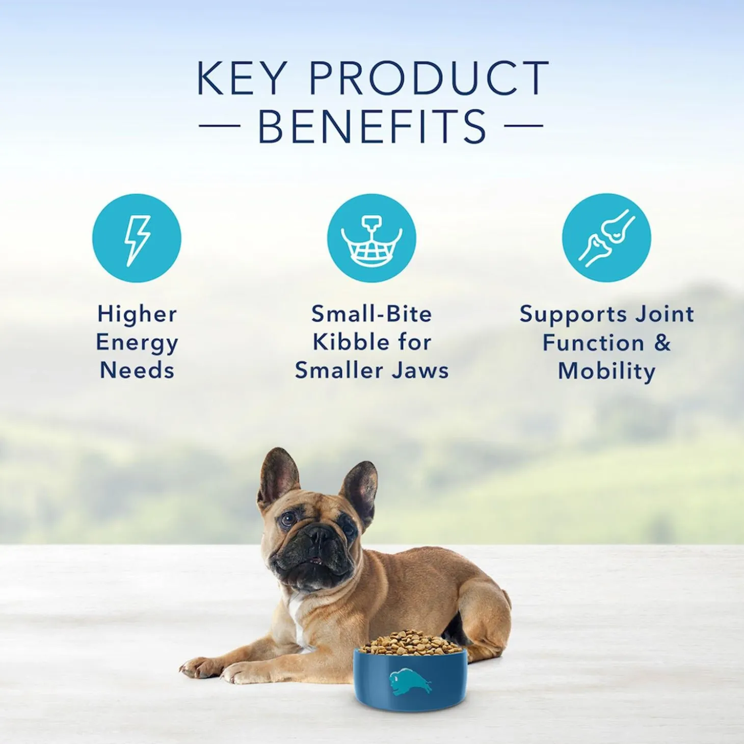 Life Protection Formula Chicken & Brown Rice Recipe Small Breed Dog Food