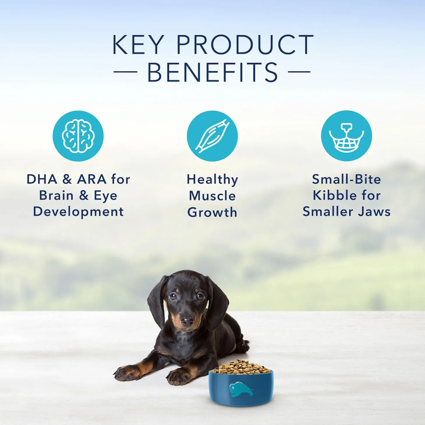 Life Protection Formula Chicken & Oatmeal Recipe Small Breed Puppy Dog Food