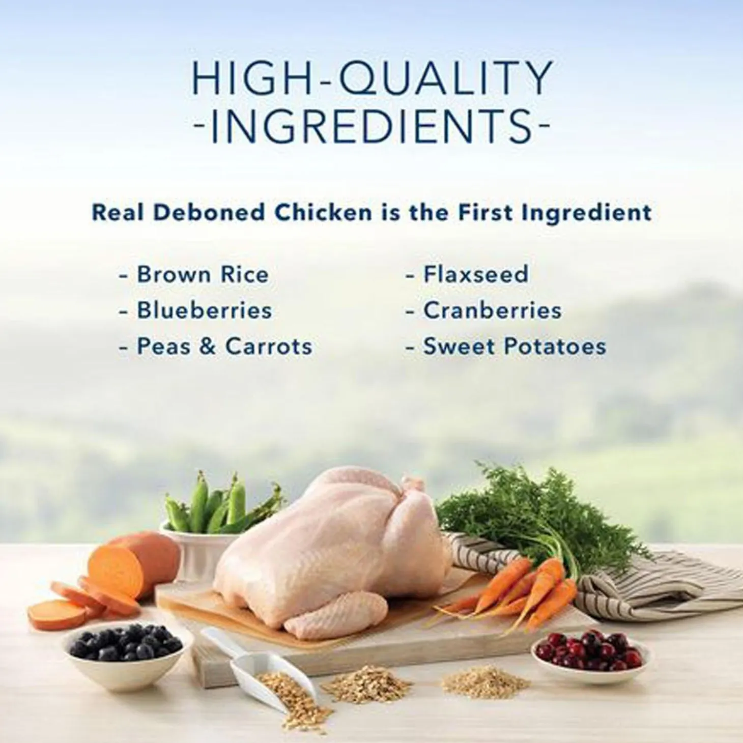 Life Protection Formula Chicken & Oatmeal Recipe Small Breed Puppy Dog Food