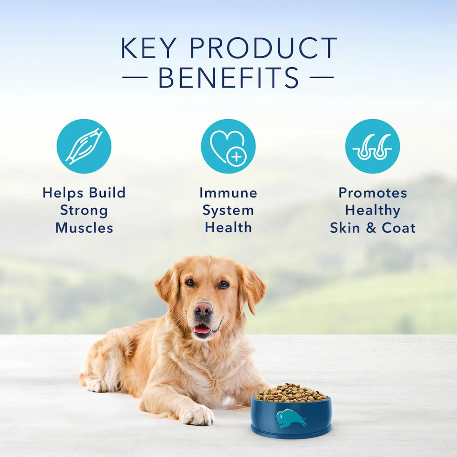 Life Protection Formula Fish & Brown Rice Recipe Adult Dog Food