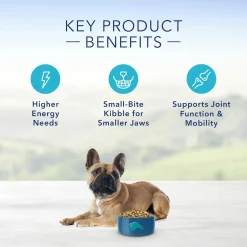 Life Protection Formula Lamb & Brown Rice Recipe Small Breed Adult Dog Food