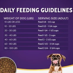 Limited Ingredient Lamb Formula Dog Food