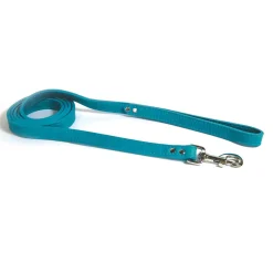 Luxe Leashes 3/4in Turquoise