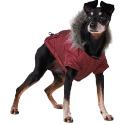 Maroon Parka