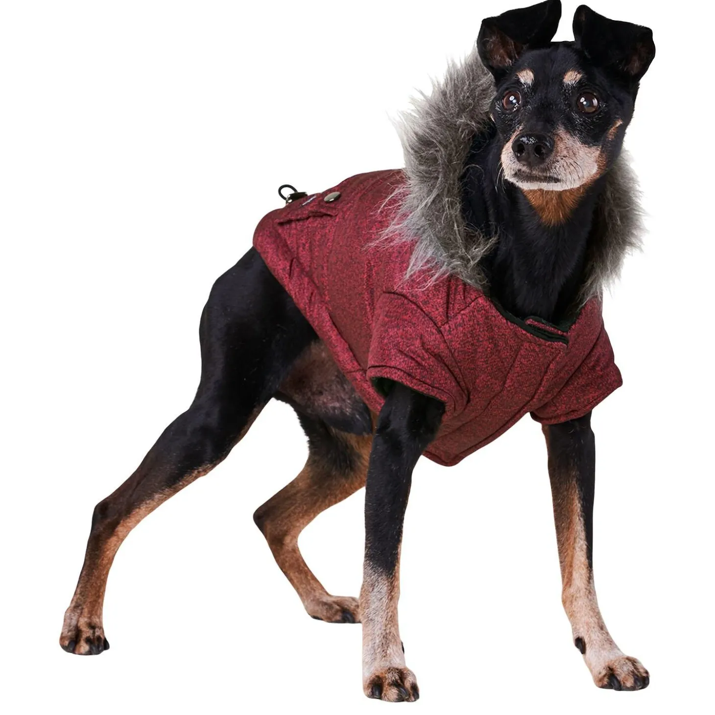 Maroon Parka