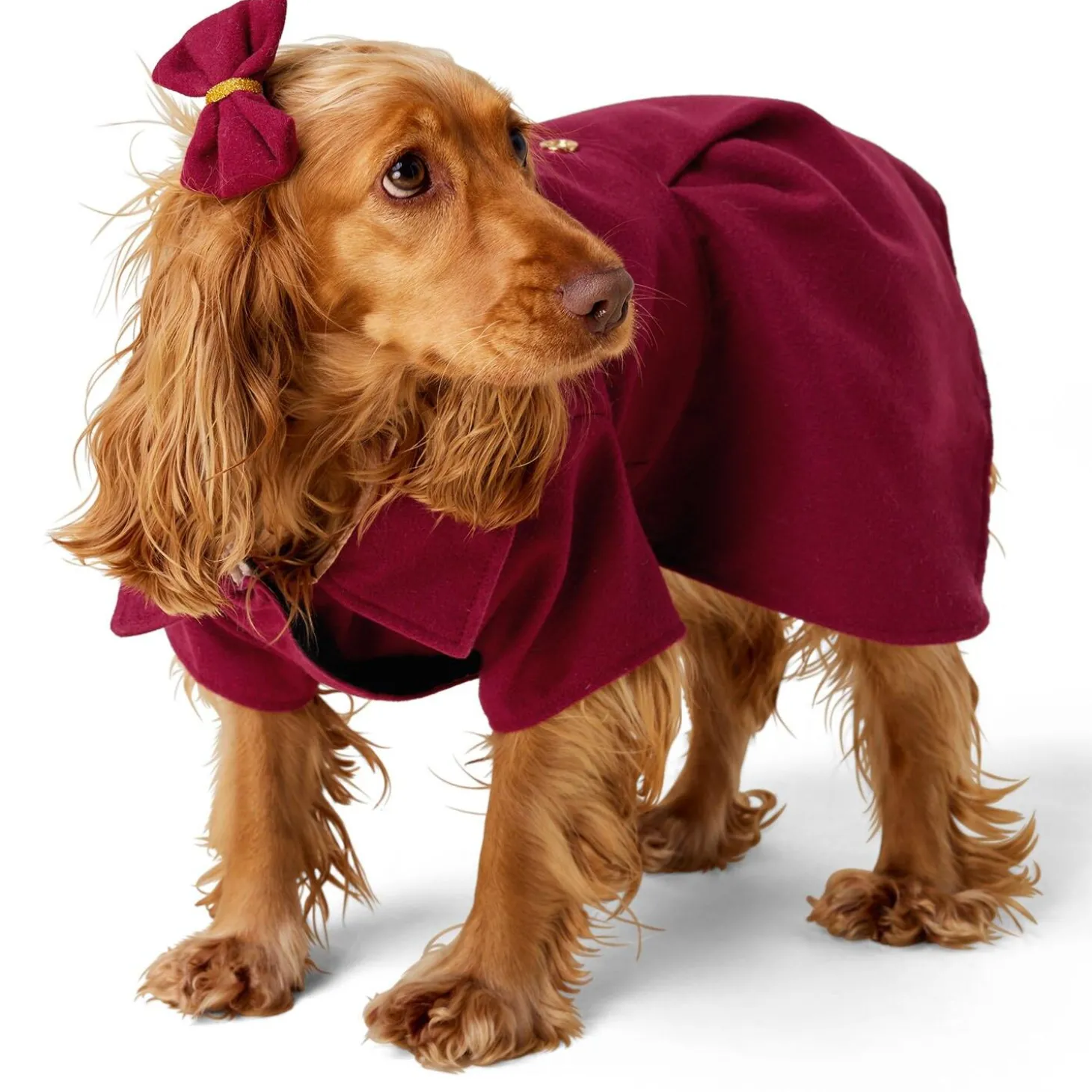 Maroon Peacoat
