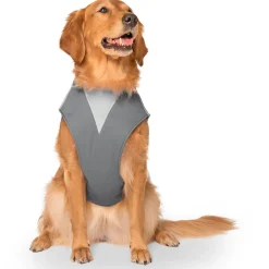 Max Chill Grey Cooling Vest