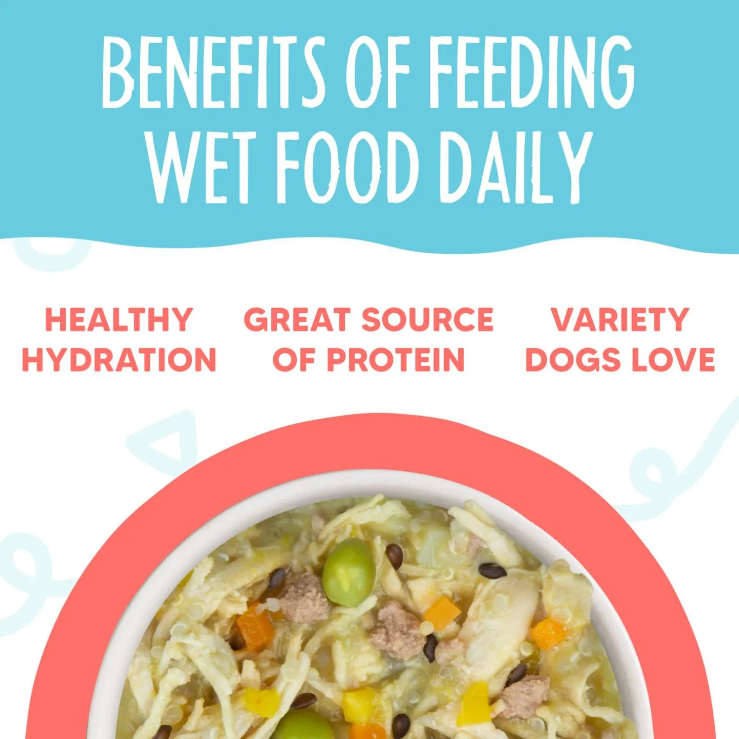 Meals' n More Jammin' Salmon Recipe Plus Dog Food