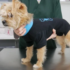 Medical Snuggie