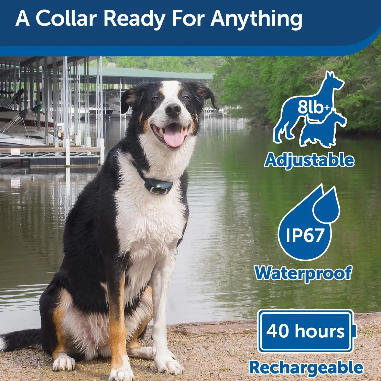 600 Metre Remote Trainer Dog Collar