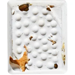 Mineral Block with Dried Apples for Small Birds