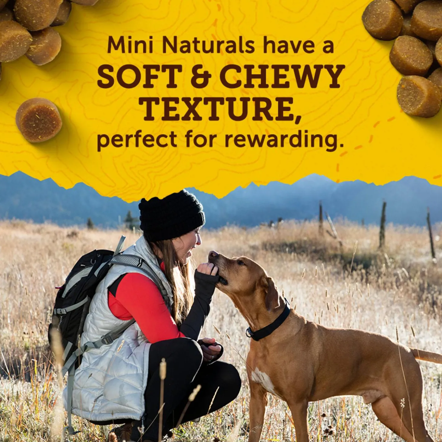 Mini Naturals Chicken Recipe Dog Treats