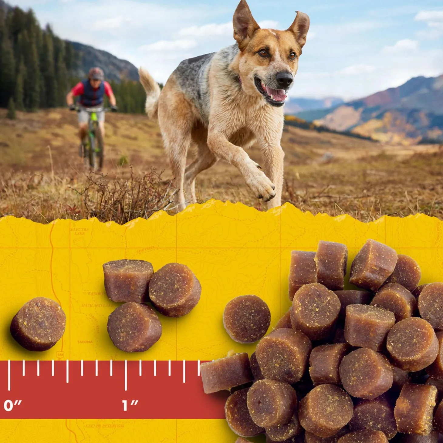 Mini Naturals Peanut Butter & Oats Recipe Dog Treats