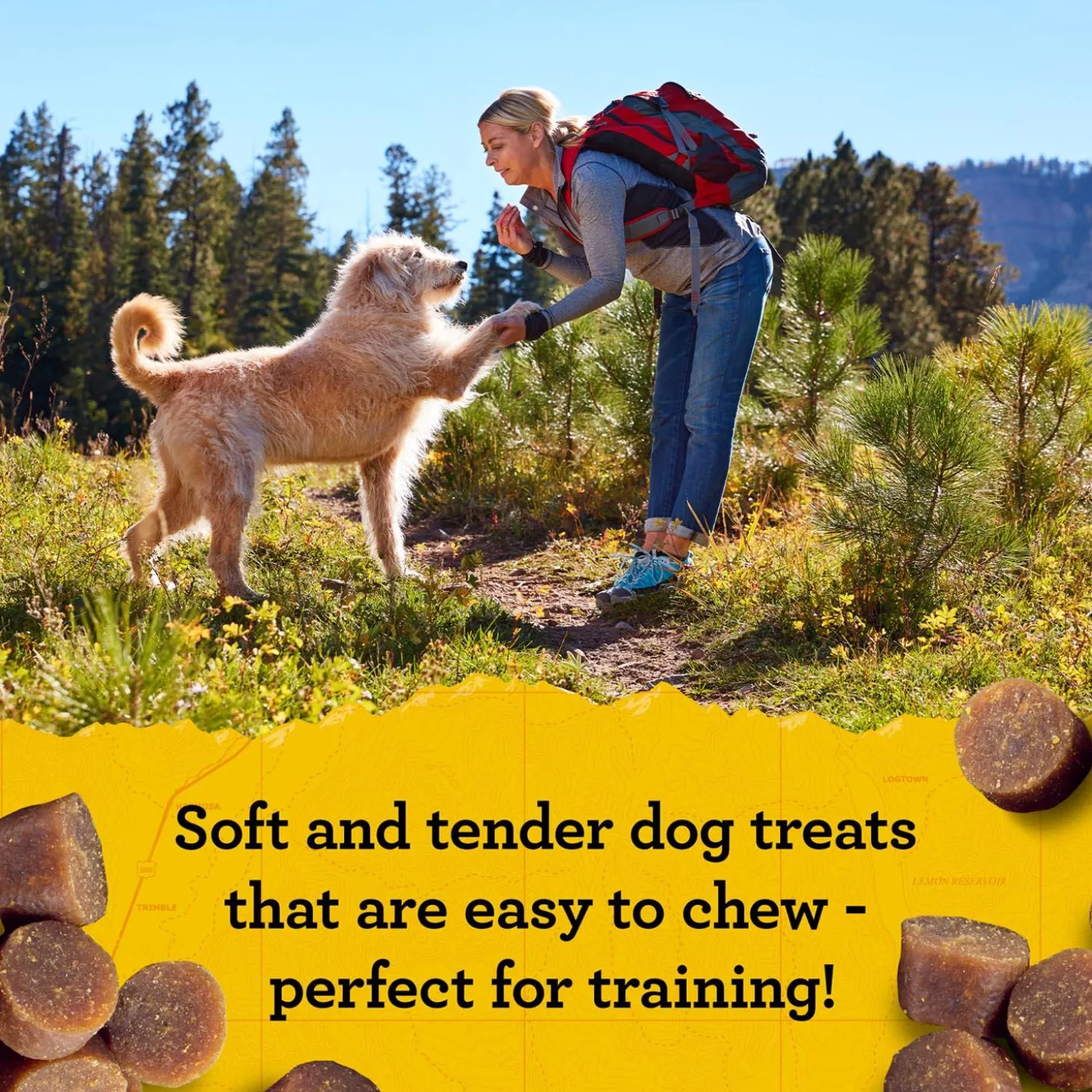 Mini Naturals Peanut Butter & Oats Dog Treats