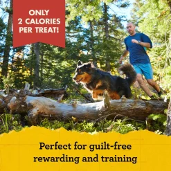 Mini Naturals Peanut Butter & Oats Dog Treats