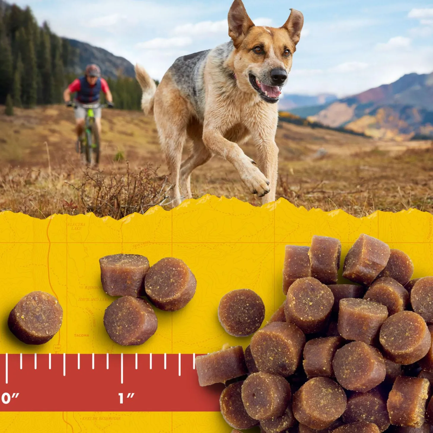 Mini Naturals Peanut Butter & Oats Dog Treats