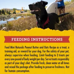 Mini Naturals Peanut Butter & Oats Dog Treats