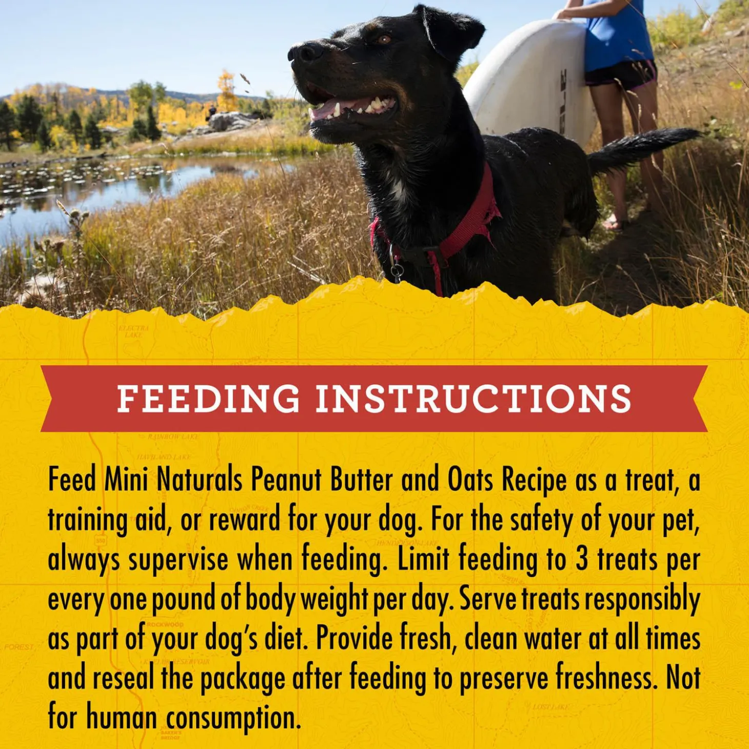 Mini Naturals Peanut Butter & Oats Dog Treats