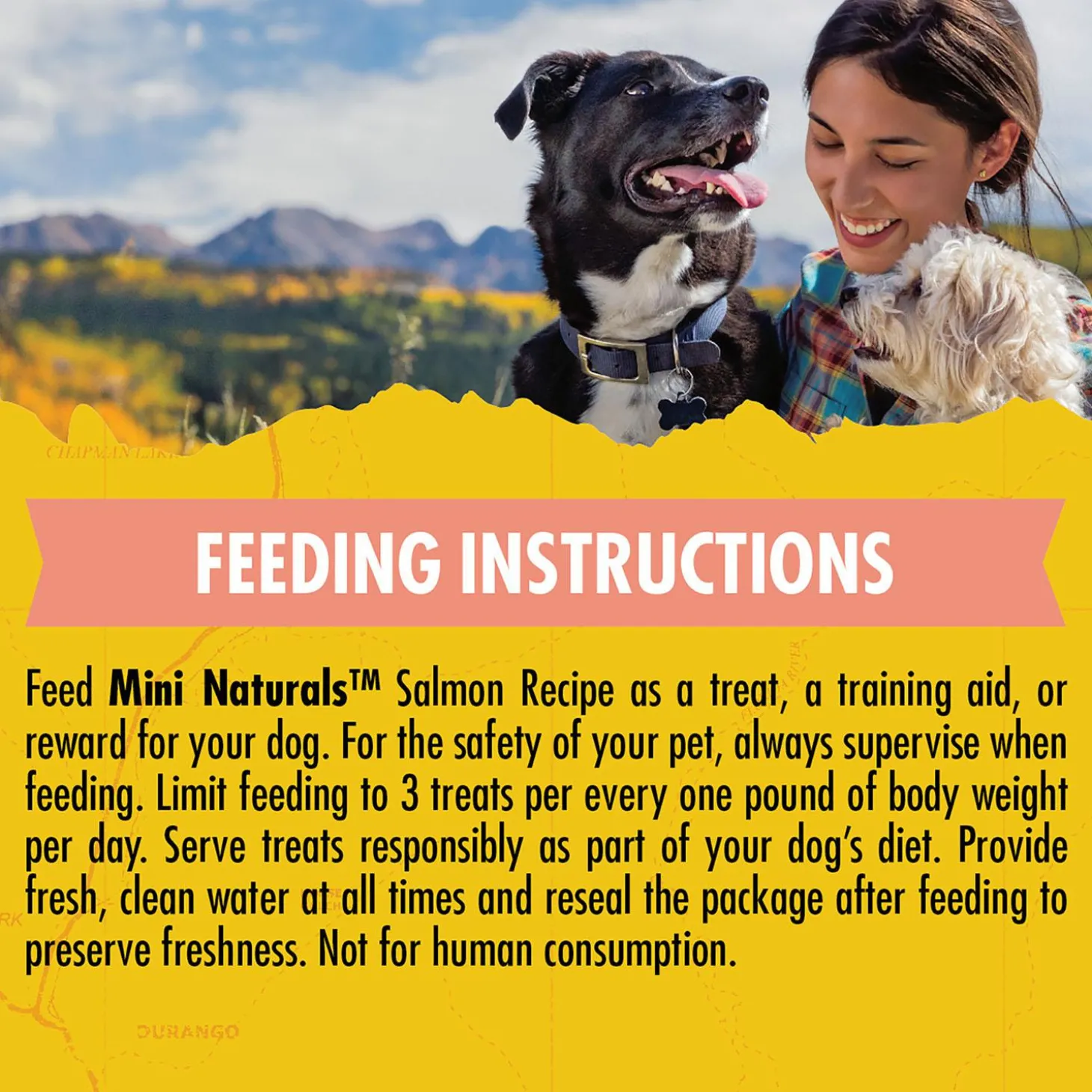 Mini Naturals Salmon Recipe Dog Treats