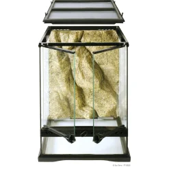 Mini Tall Terrarium