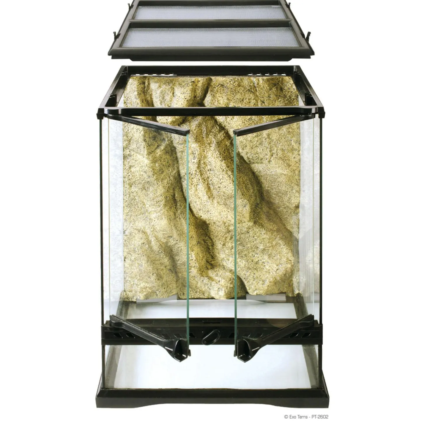 Mini Tall Terrarium