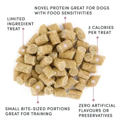 Mini Trainers Lamb Dog Treats