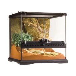 Mini Wide Terrarium