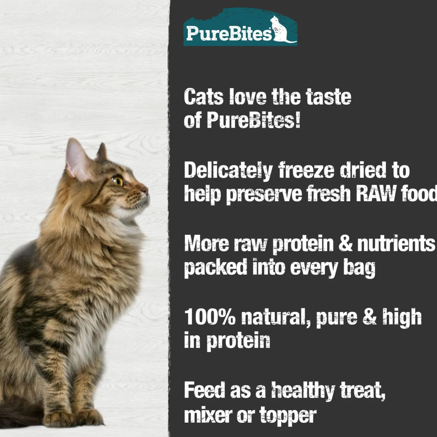 Minnow Cat Treats