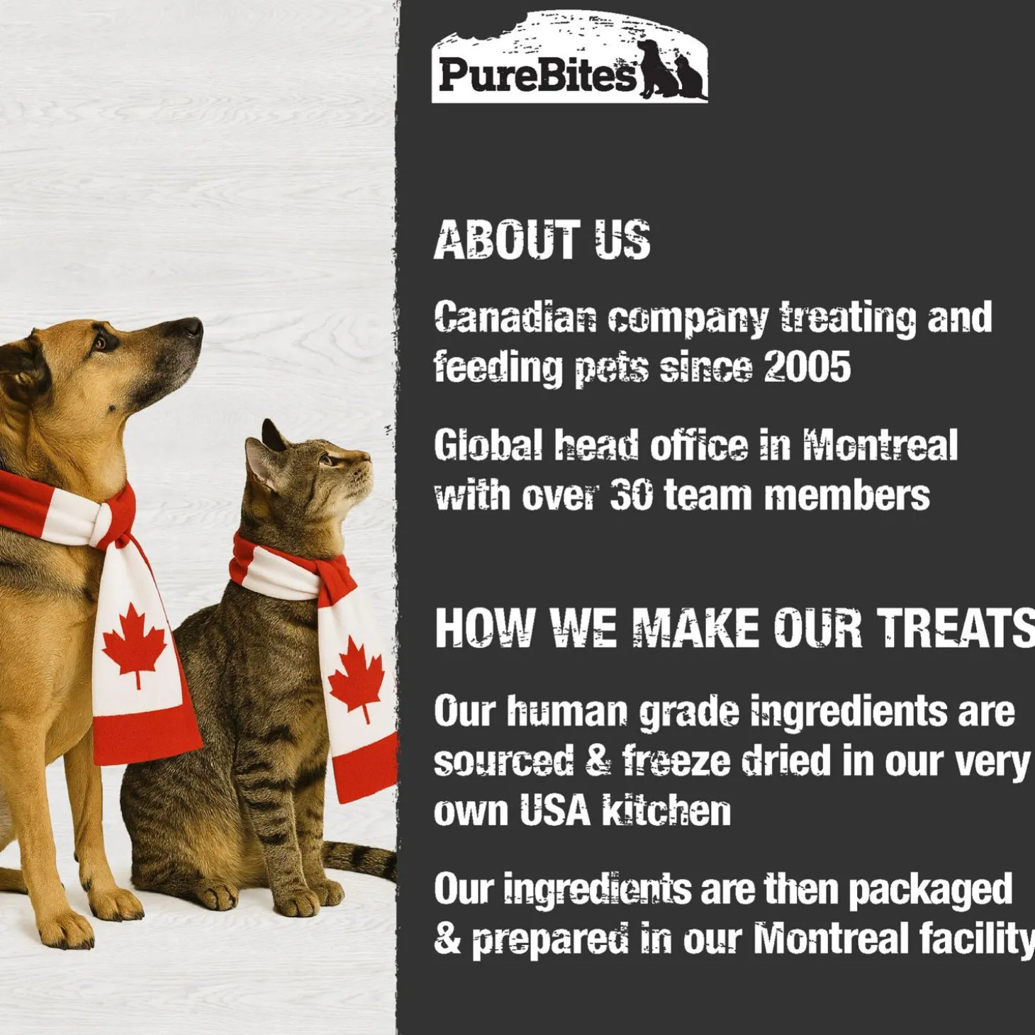 Minnow Cat Treats