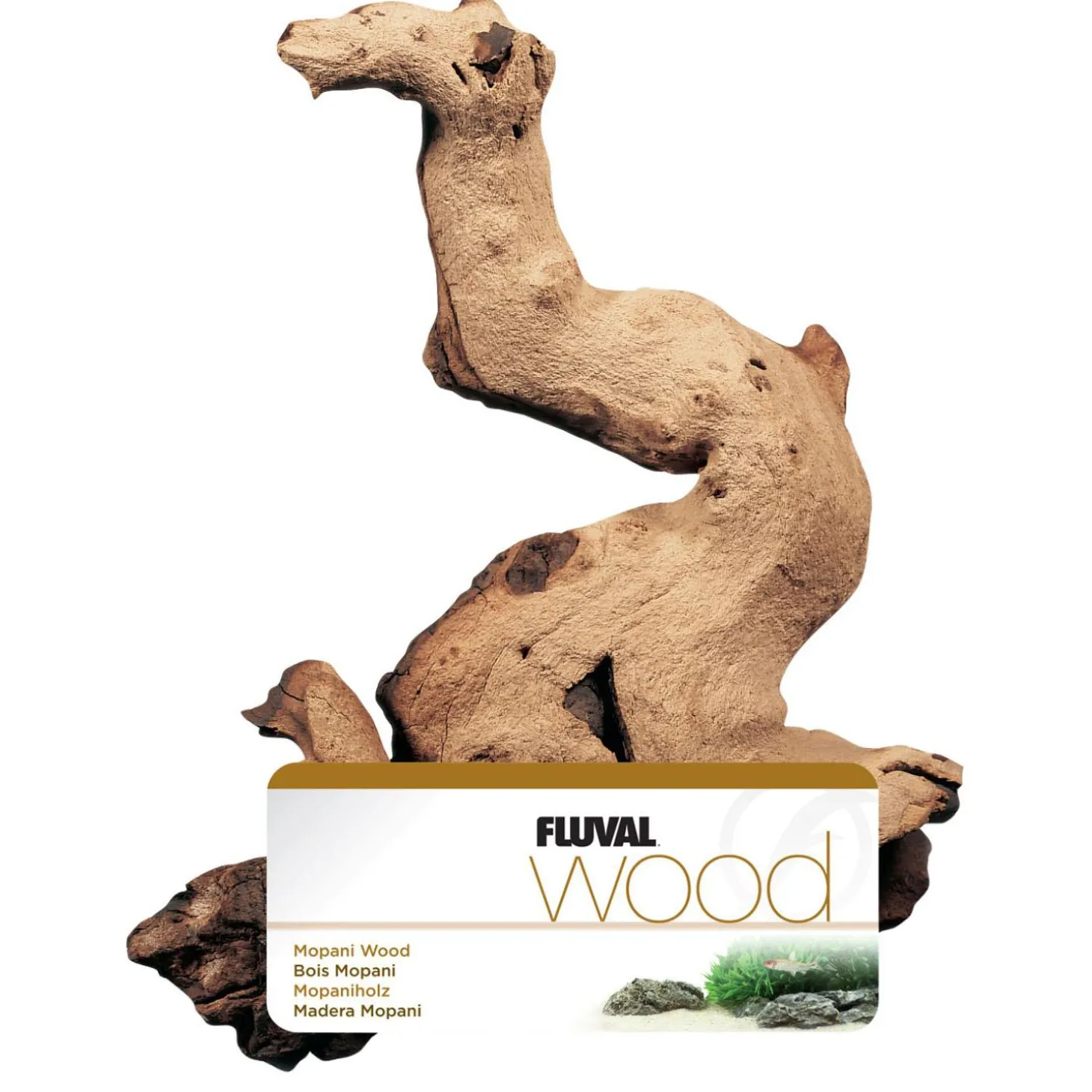 Mopani Driftwood